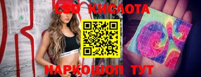 стаф Будённовск