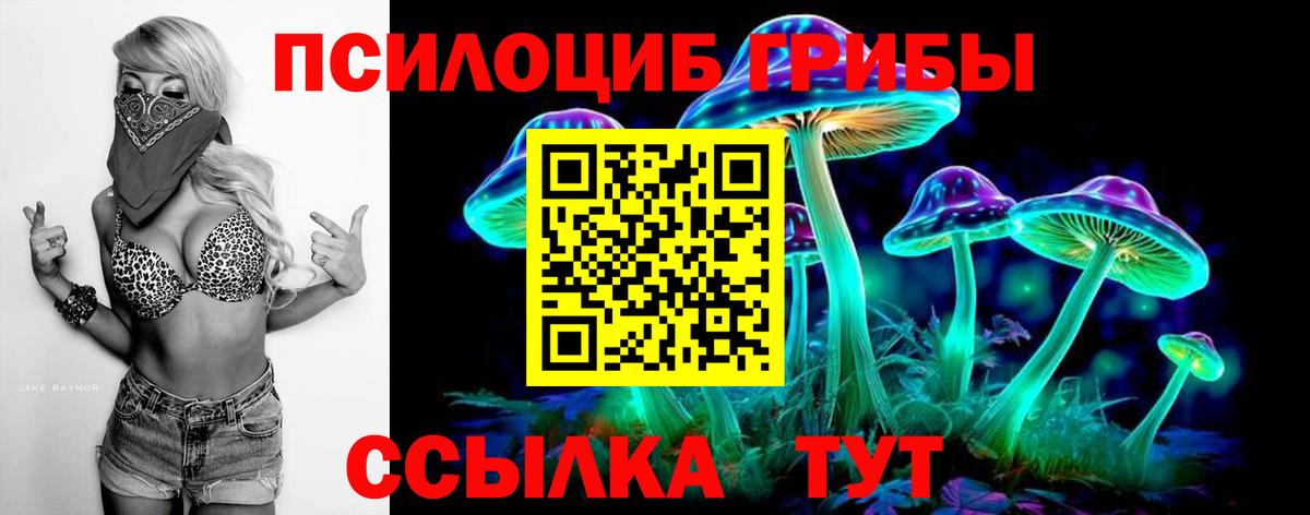 Галлюциногенные грибы Psilocybe  Вход с VPN  Янаул  Псилоцибиновые грибы GOLDEN TEACHER 